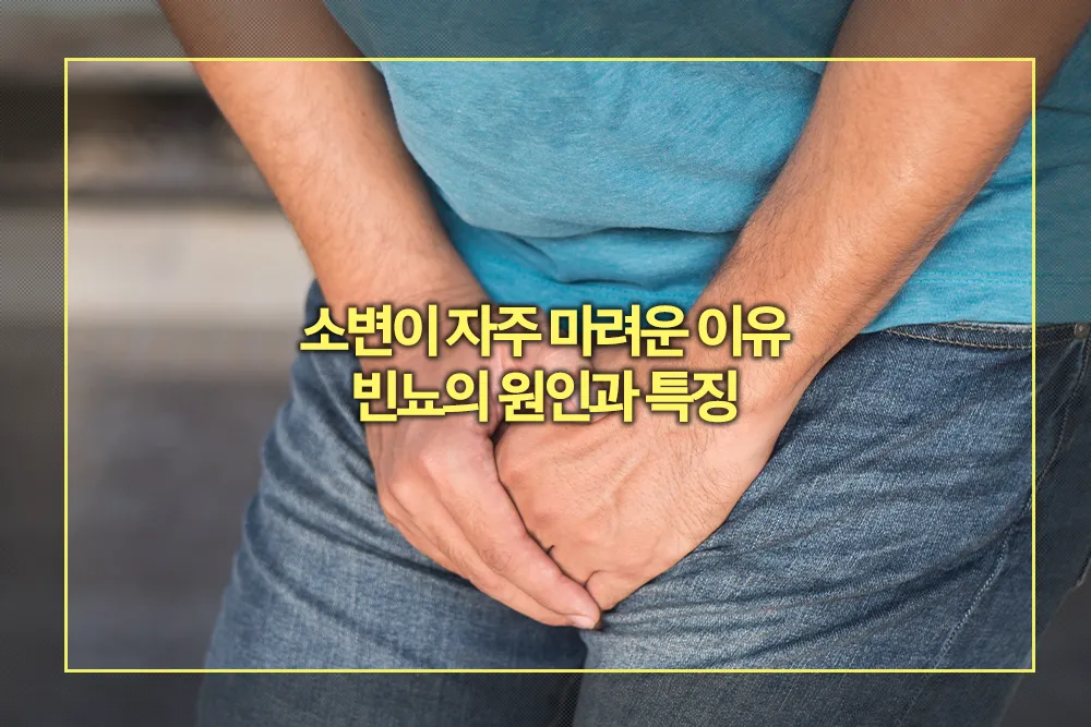 소변이 자주 마려운 이유